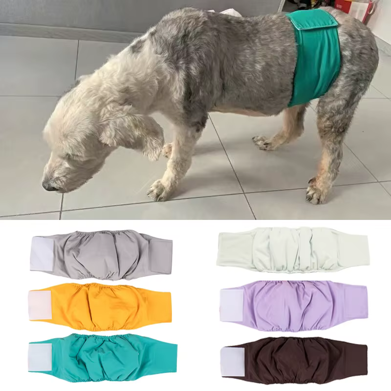 High Quality Pet Dog Diaper Shorts Anti-harassment Safety Male Dog Physiological Pants For Small Medium Dogs Teddy Chihuahua
