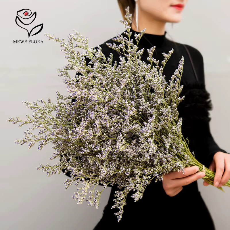 Natural Real Dried Limonium Lover Grass Branch for Living Room Decoration Valentine's Wedding Preserved Making Craft Accessories