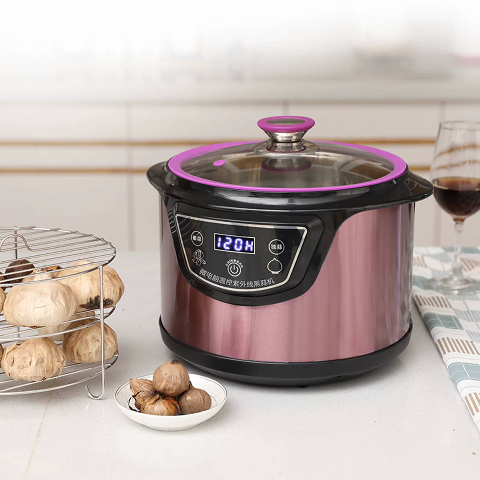 90W 12-15 Days Intelligent Black Garlic Fermenter Automatic Fermentation Machine