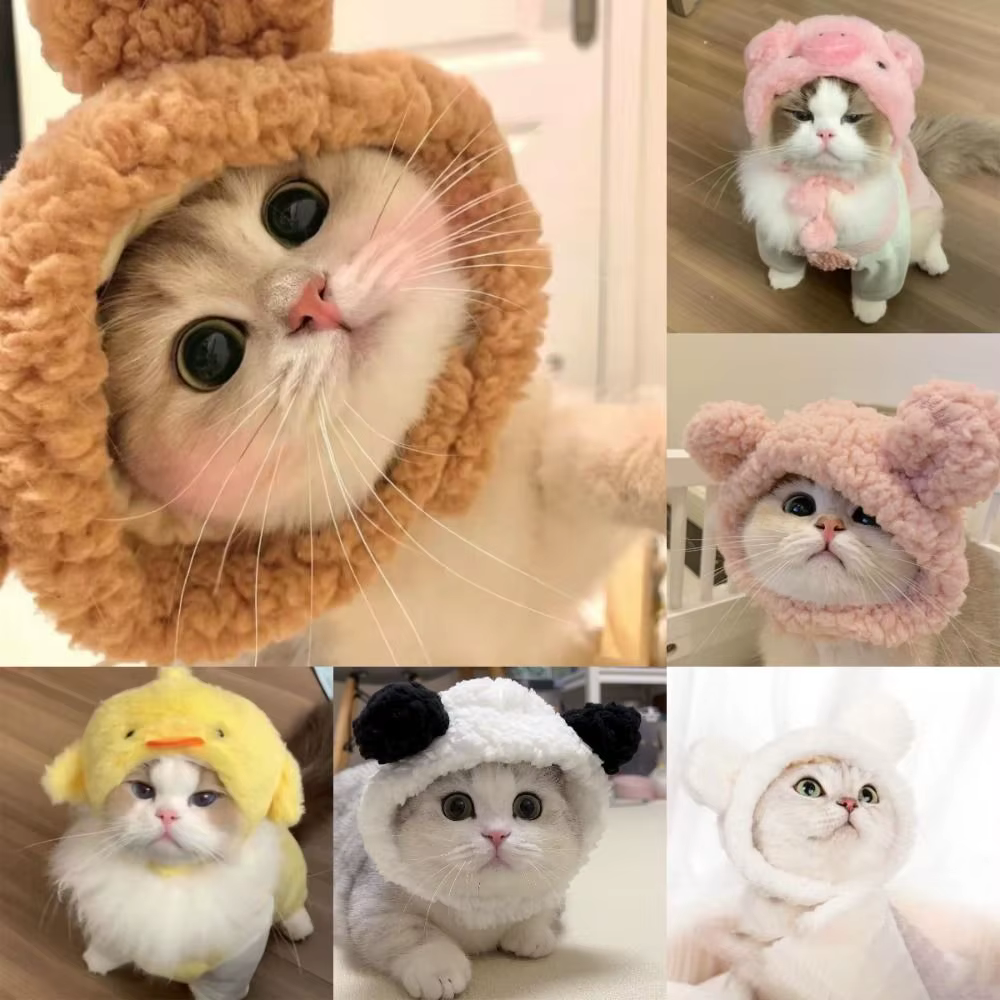 Funny Cat Cap Bear Plush Head Cover Cute Cat Dog Woven Warm Headdress Pet Hat Kitten Puppy Cosplay Costume Accessories