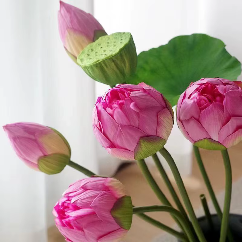 Lotus simulation flower hand feeling lotus leaves lotus flower fake flowers living room ornaments pool decoration scenic shootin