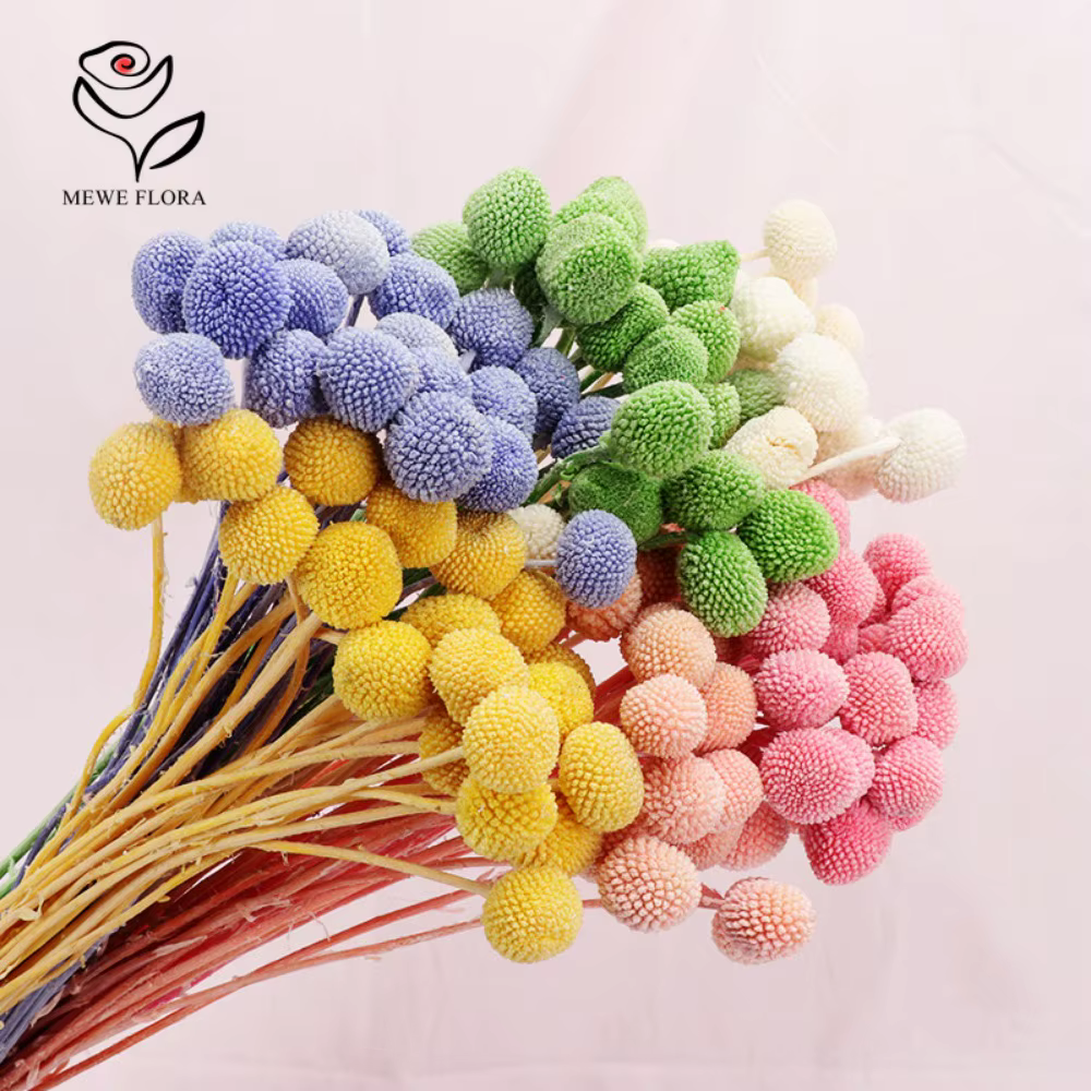 Natural Dried Flowers Real Golden Ball Bouquet Crafts Gift Wedding Festival Christmas Decoration Autumn Garden Home Wall Decor