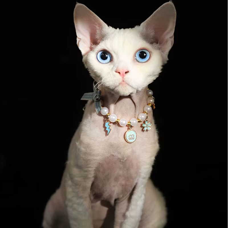 HANTAO Cat puppy dog drop pendant necklace pet fashion accessories