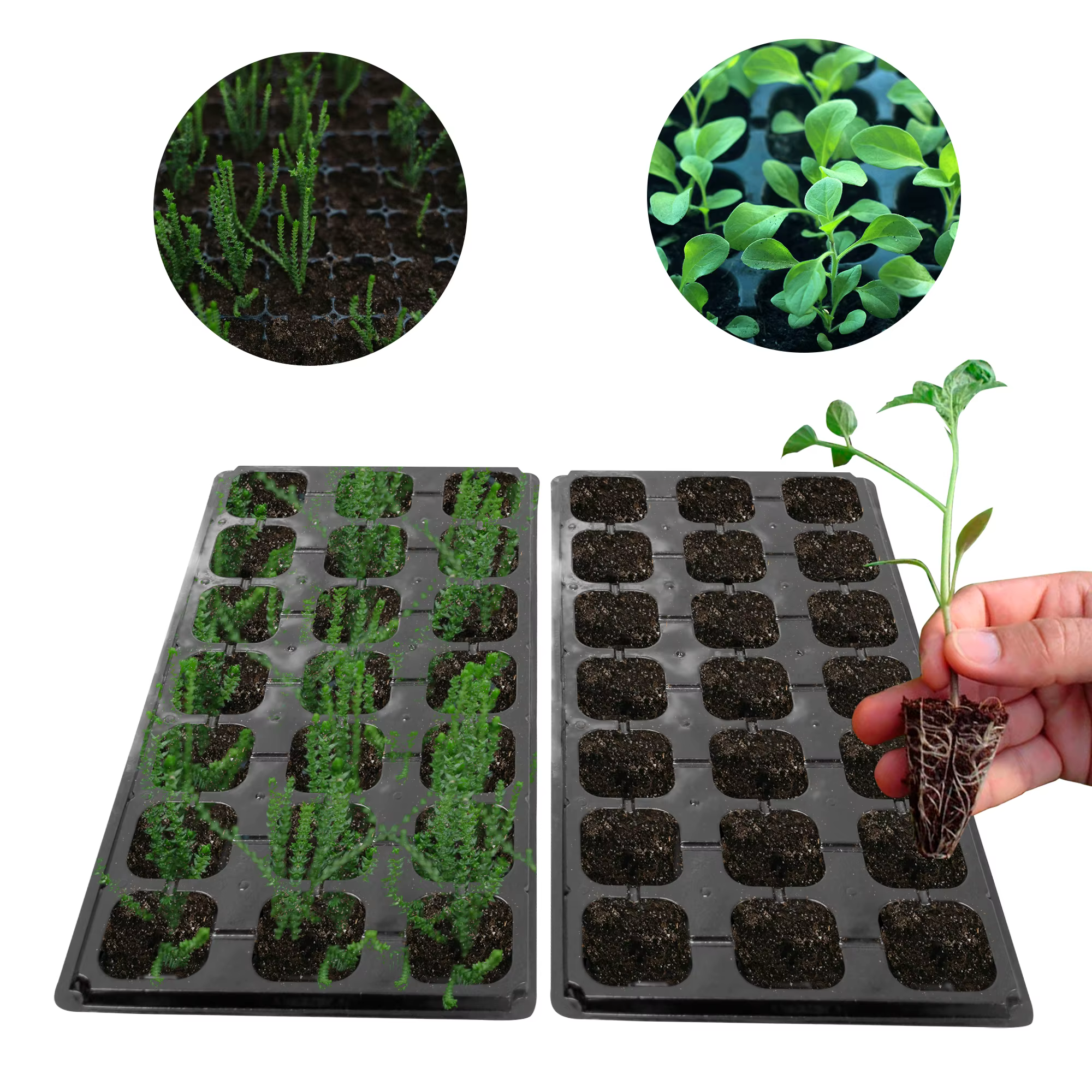 Plastic Tray With 21 Tubets For Seedlings