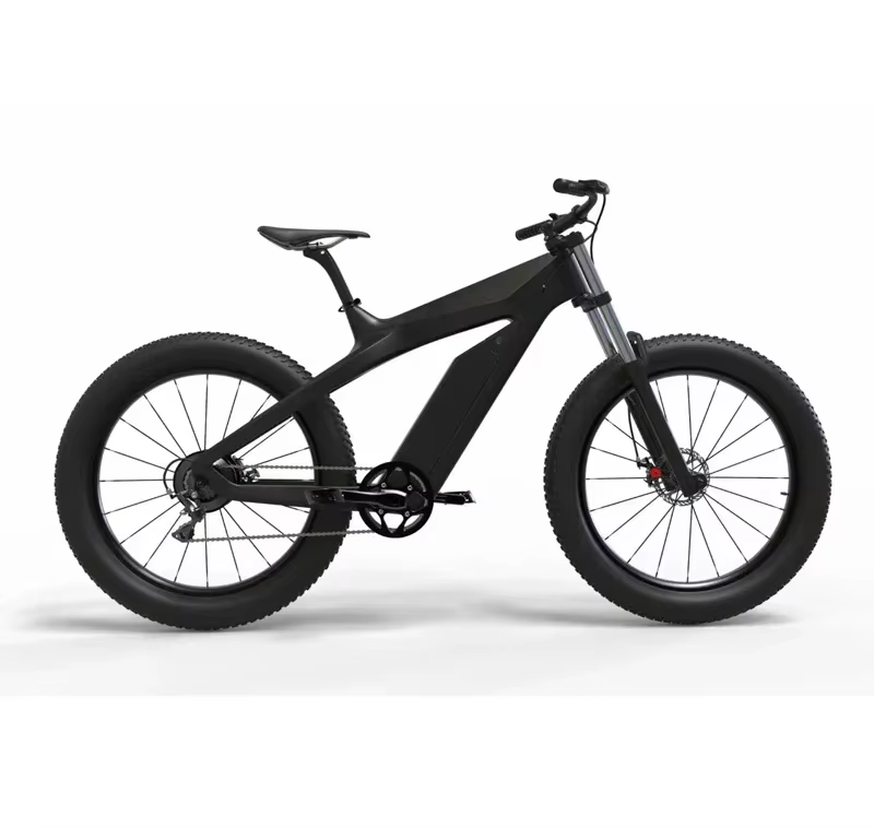 electric carbon fiber mountain bike hidden battery electric bicycle e-bike