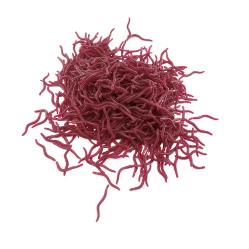 100PCS Soft Lure Bass Bream Bloodworm Fishing Earthworm Worm Rubber Red Worms Baits Fishy Smell Realistic Tackle