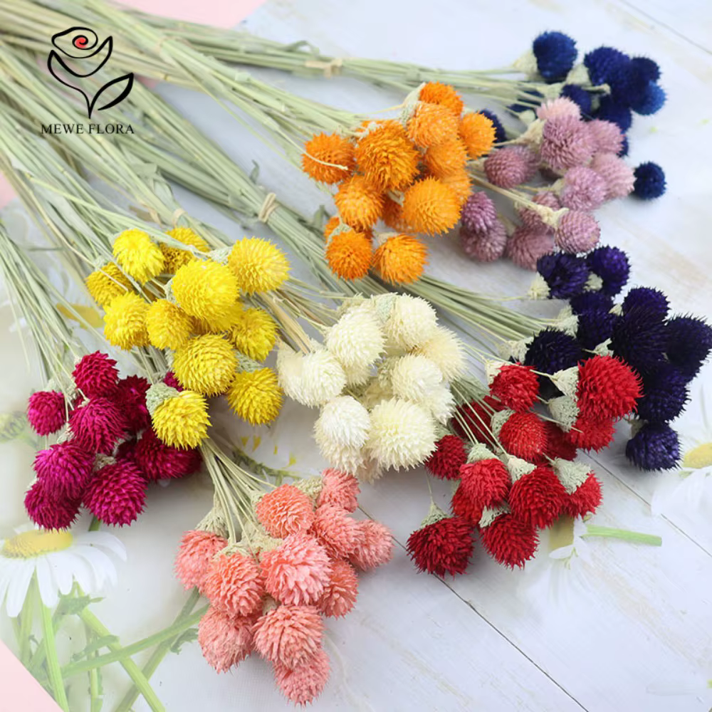 Natural Dried Colorful Strawberry Fruit Flowers Bouquet for Home Country Fall Decor Wedding Arrangement DIY Gift Box Decoration