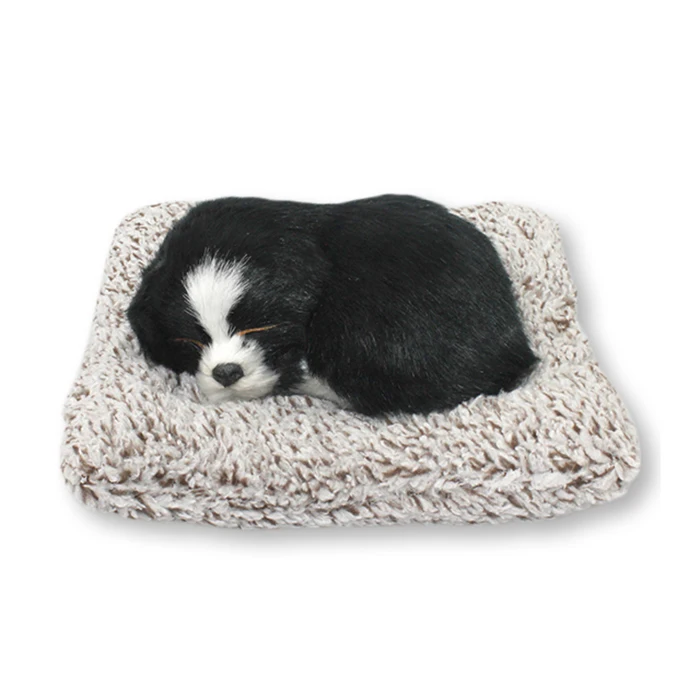 Bordercollie (Cso)