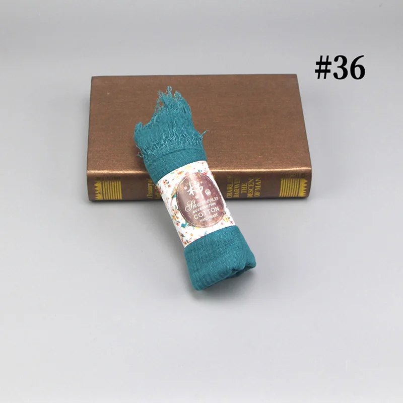 SC 36