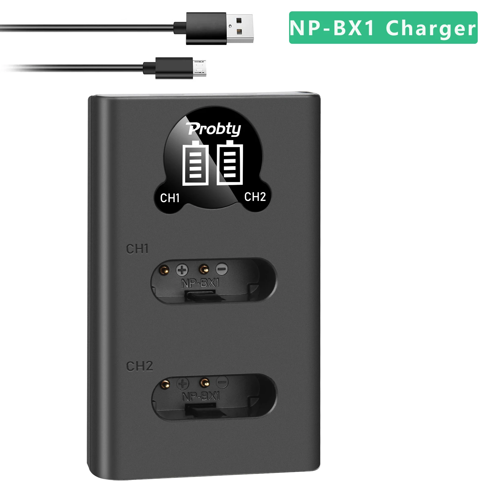NP-BX1 Charger