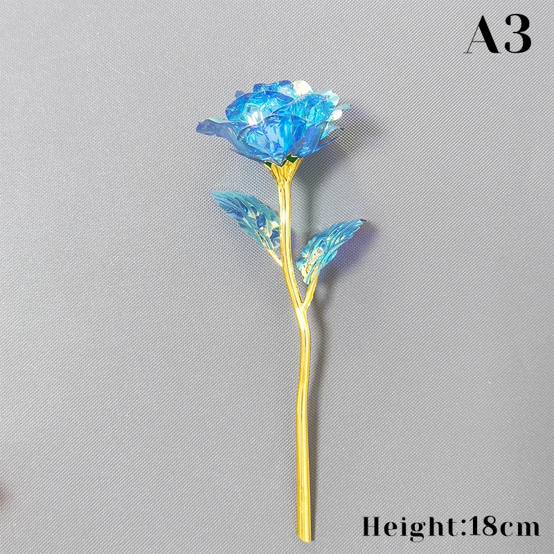 A3