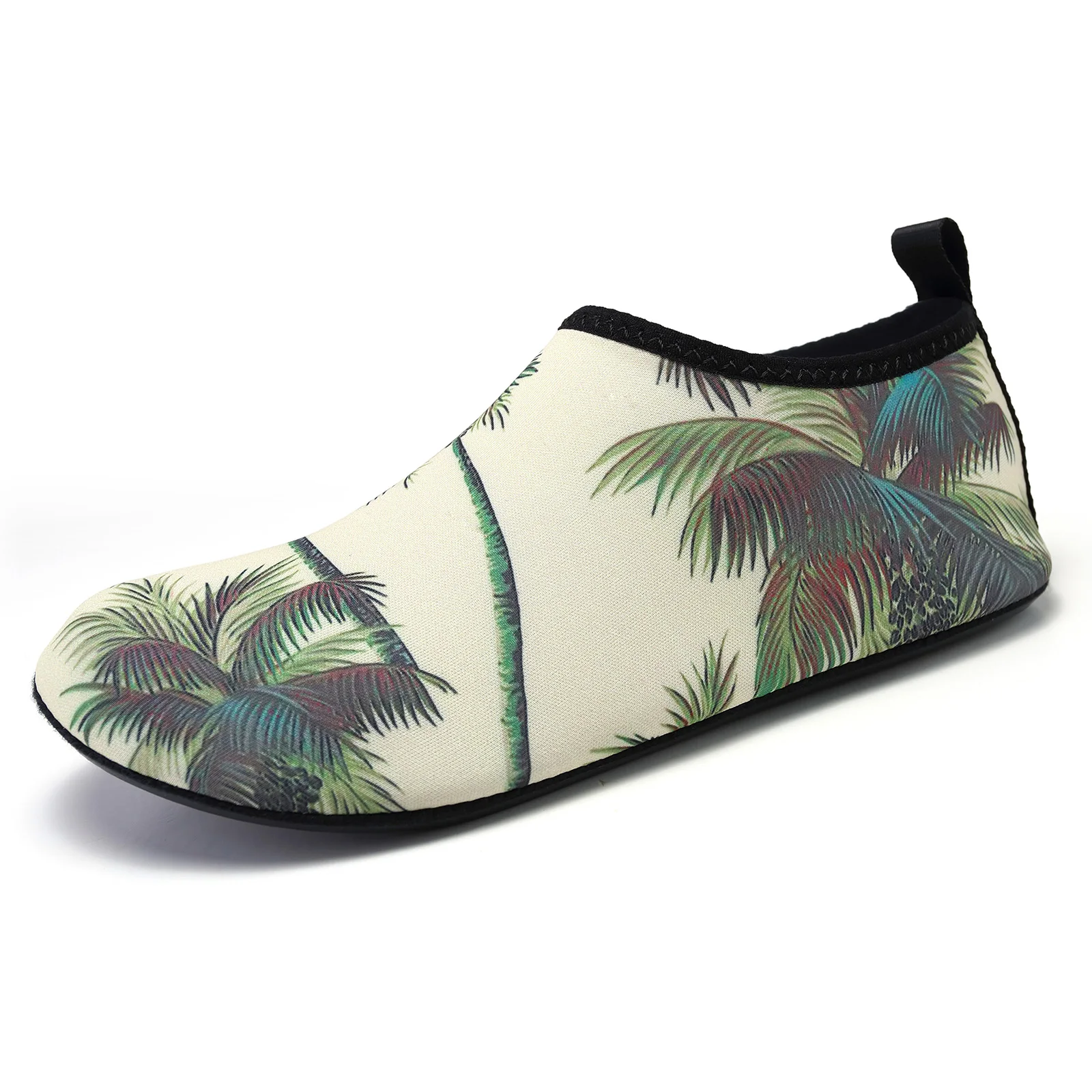 K08-Coconut Tree