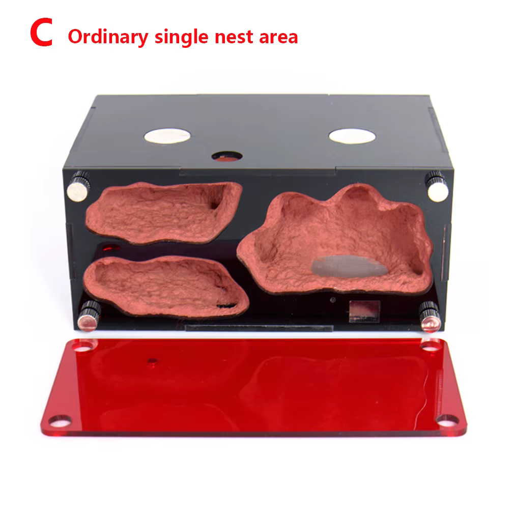 Ordinary nest area C