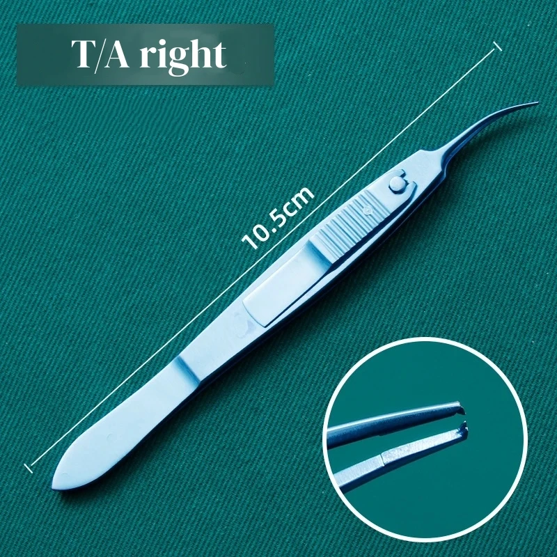 TA right 1x2teeth