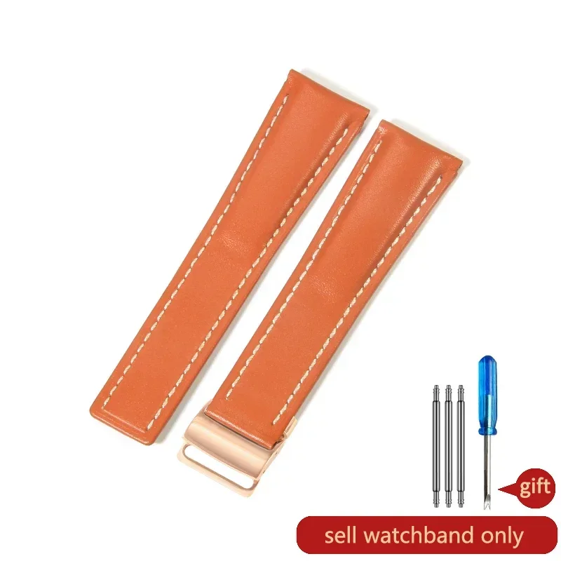 Orange(PW)-Rose-Z16