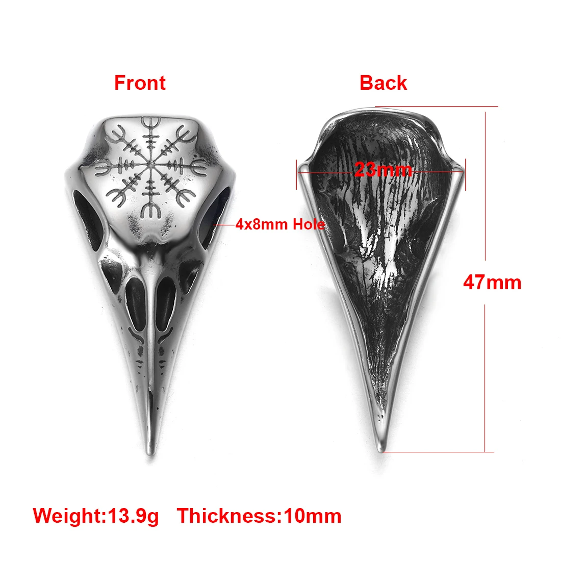 Bird Skull