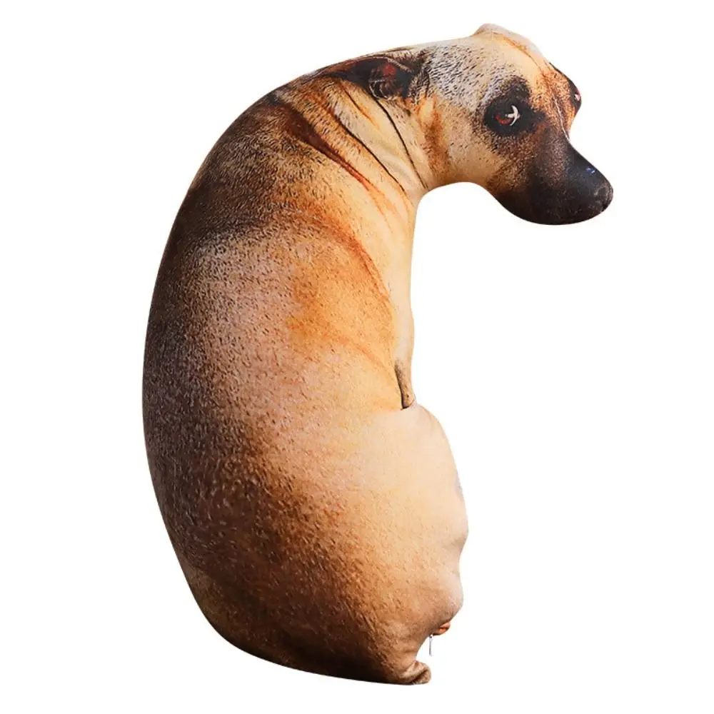 50CM-B