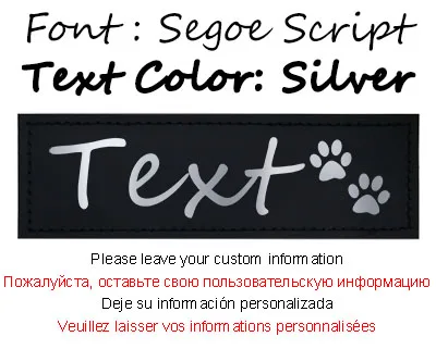 SS-Silver-Paw