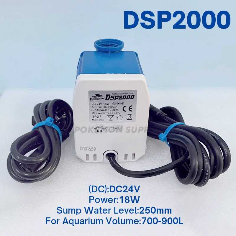 DSP-2000