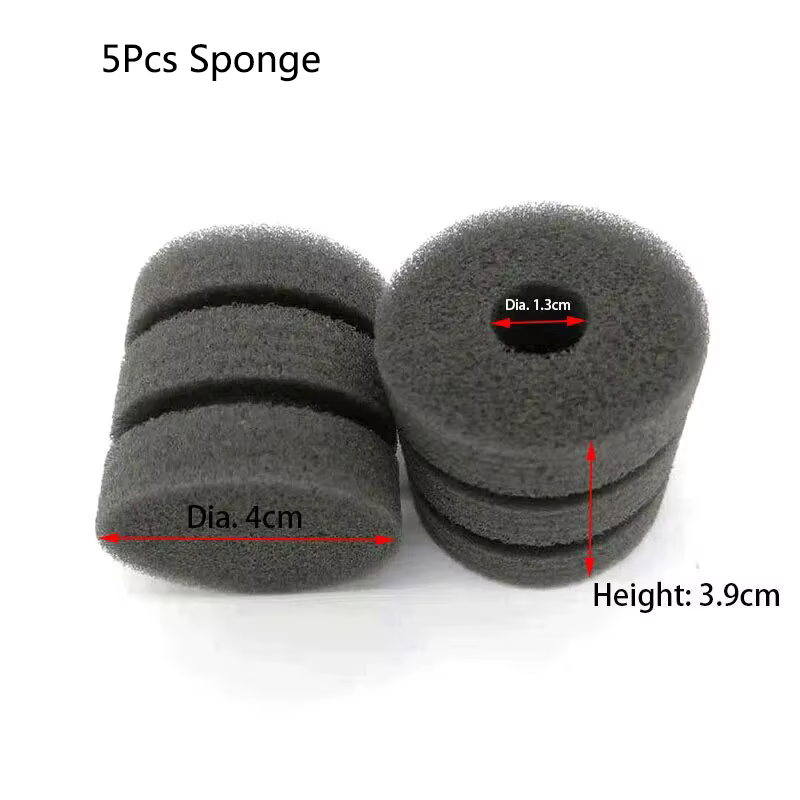 5Pcs Sponge