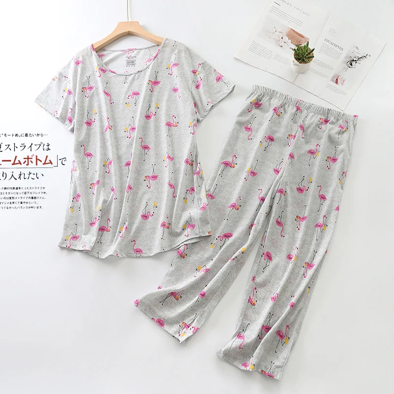 Grey flamingos