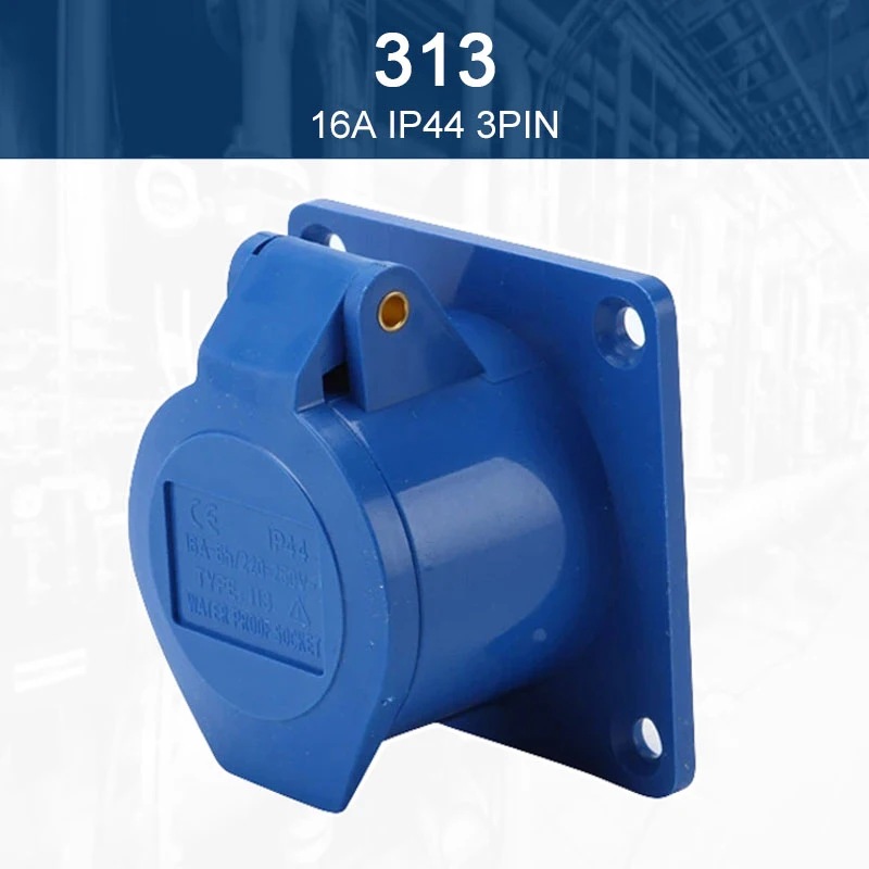 313