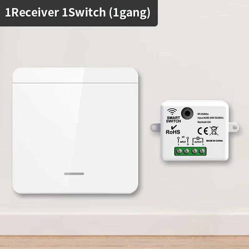 1Receiver 1Switch