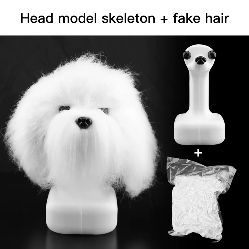 head model hair