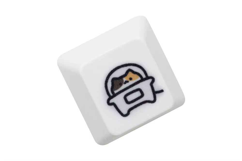 CalicoC P Keycap x1