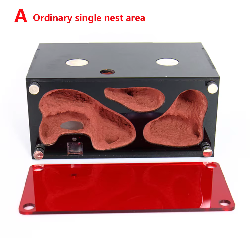 Ordinary nest area A