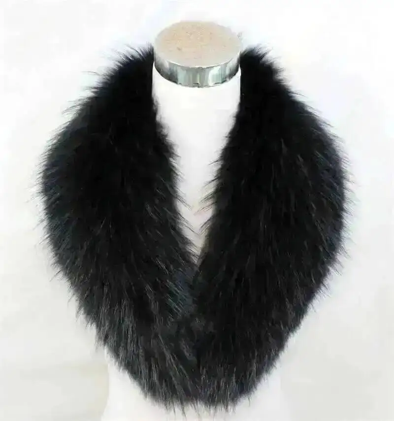 Black raccoon