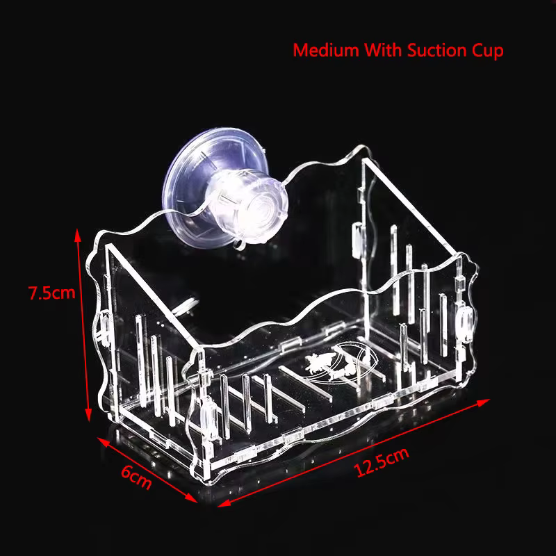Medium Suction Cup
