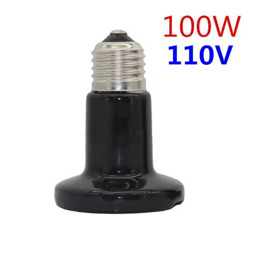 110V-100W