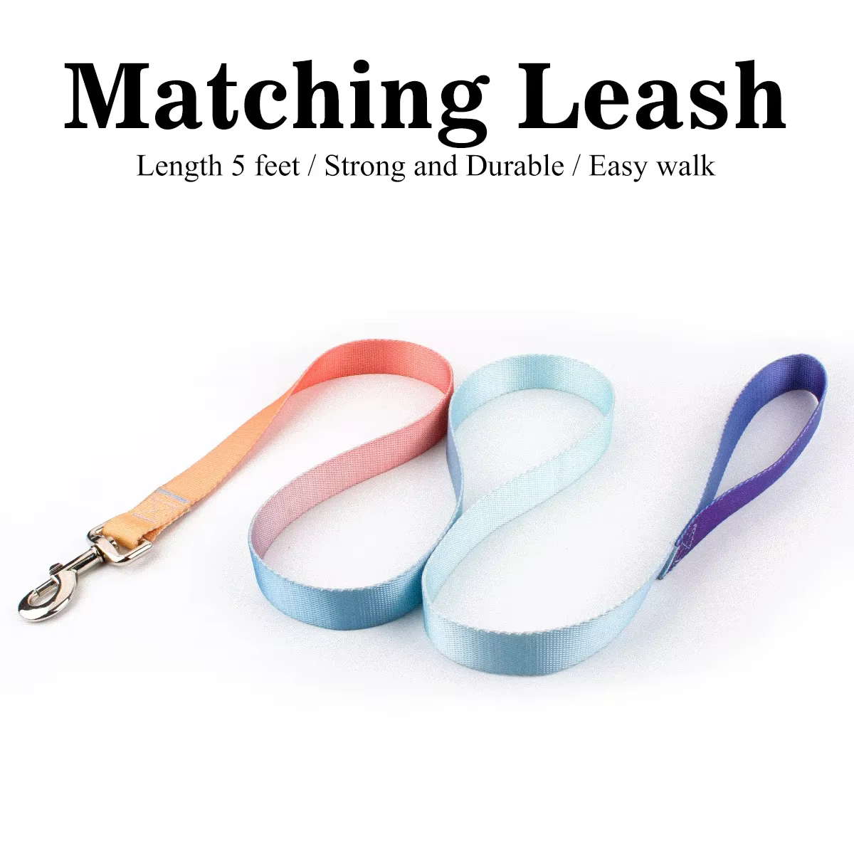 Leash Pink Blue