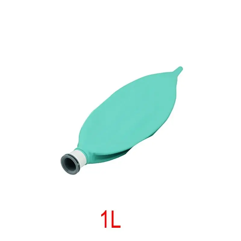 1L