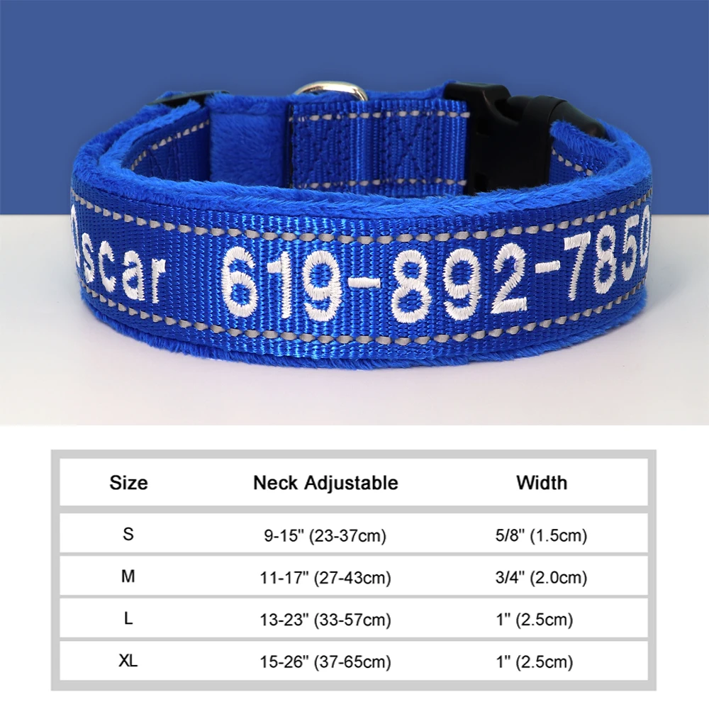 021-1DBLUE