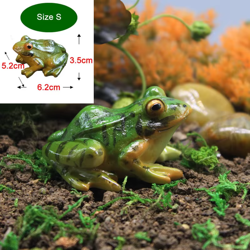 Frog Size S