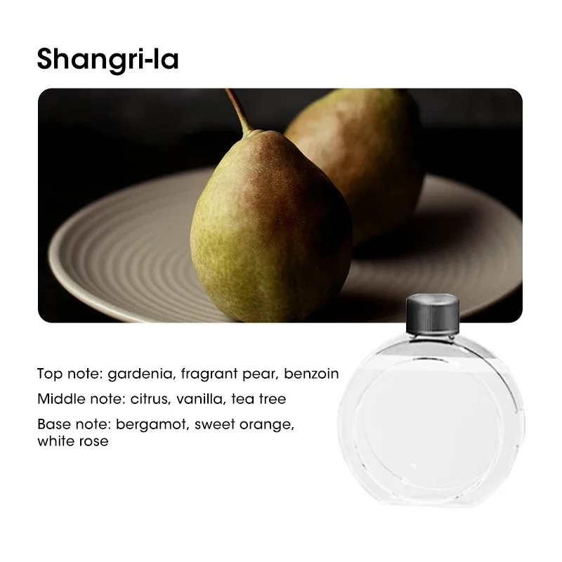 1PC Shangri-la Oil