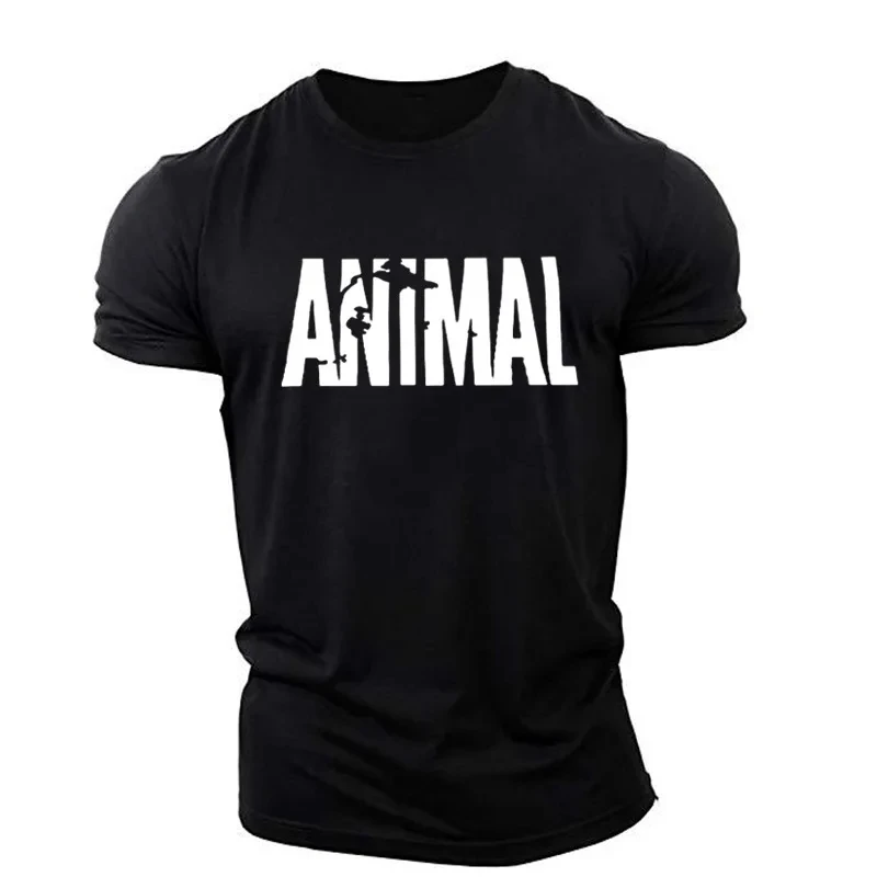 Tshirt-HWH34983