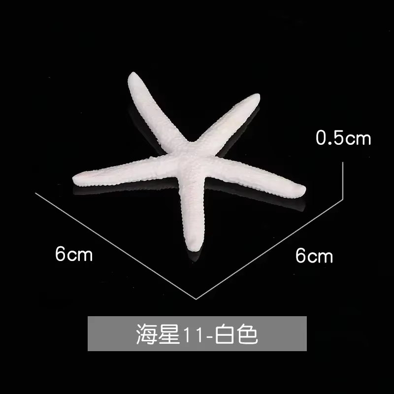 Starfish White
