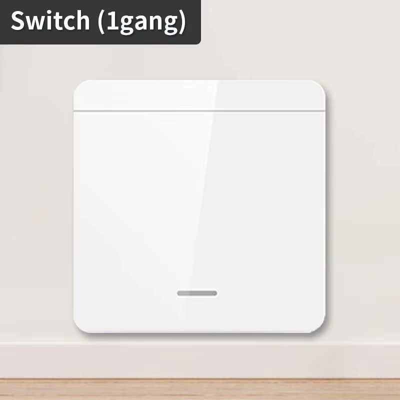 1Gang Switch