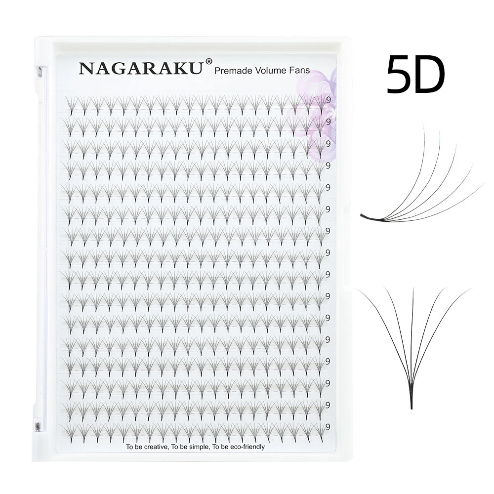 5D