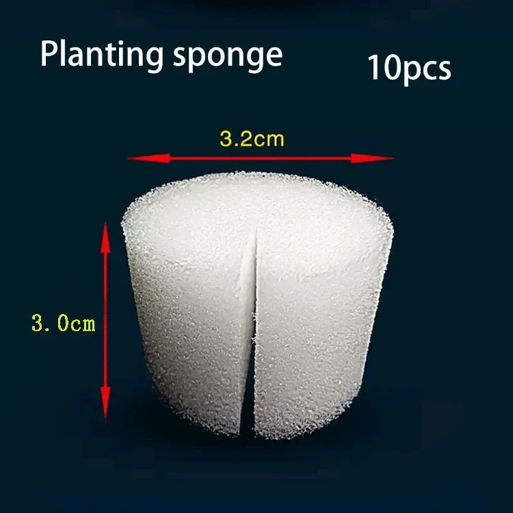 10pcs sponge