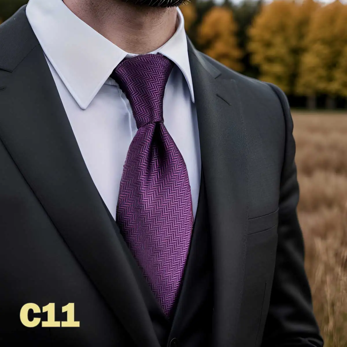 CS11