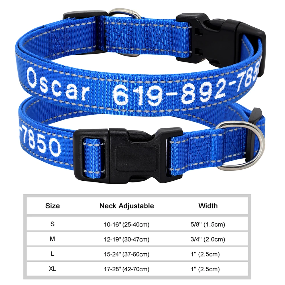 6221-1DBLUE