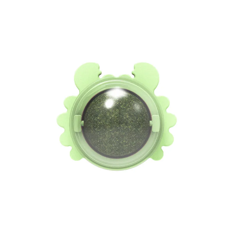 Green crab