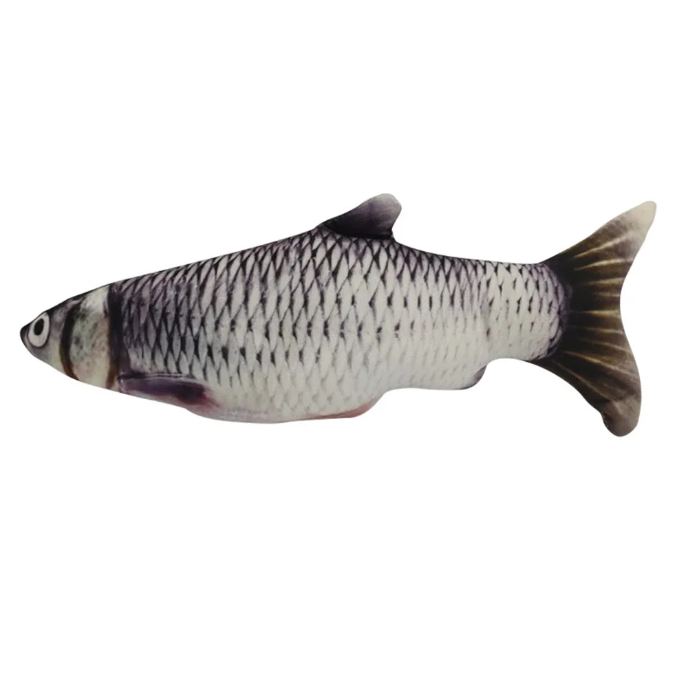Grass Carp