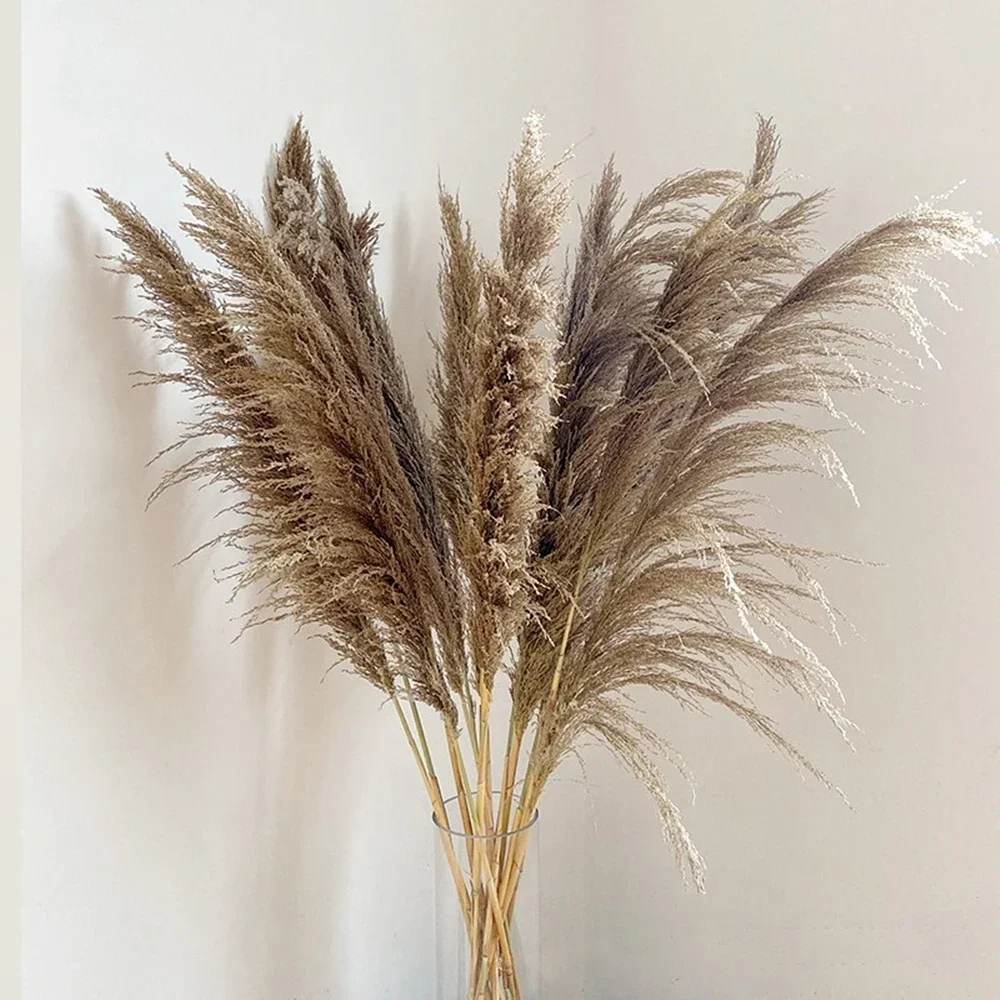 Natural BrownGray