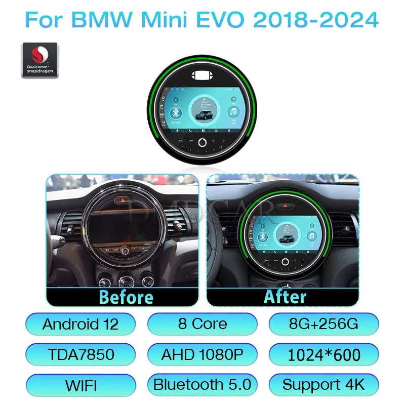 Mini EVO 256G