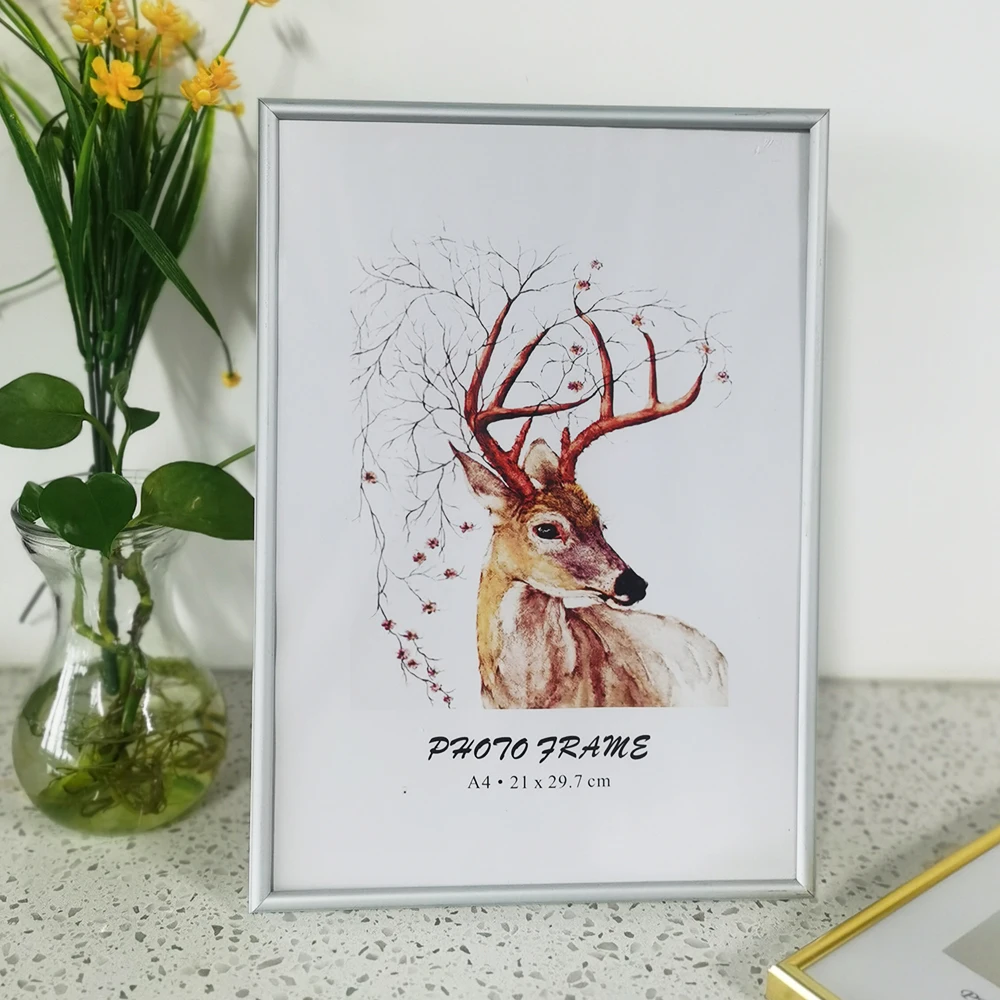 Silver Frame
